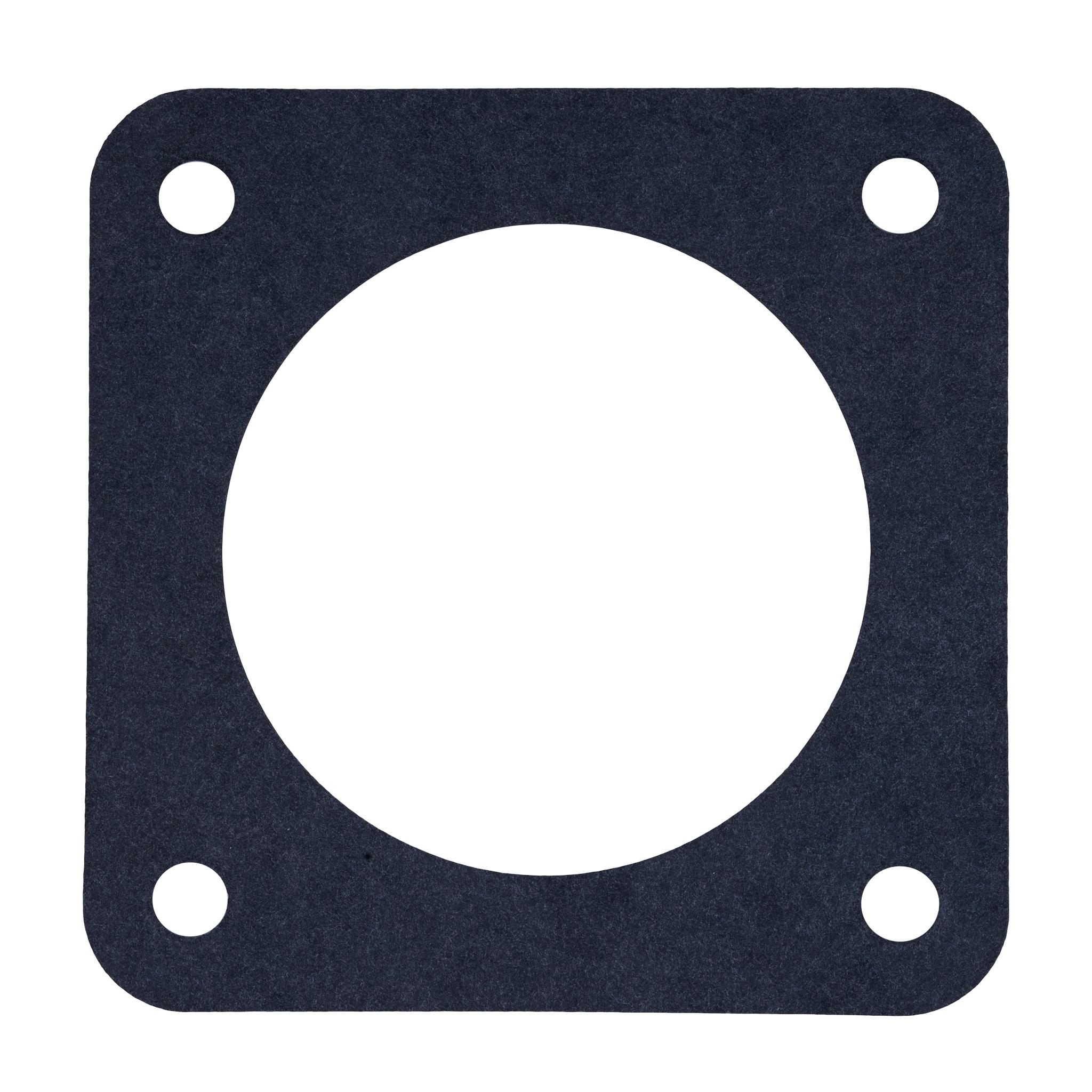 Gasket for Sta-Rite 8